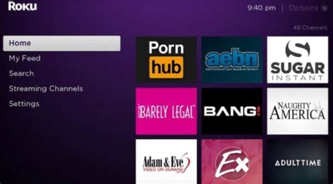 roku tv porn apps|Best Roku Porn Sites in 2024 to watch Porn on your TV